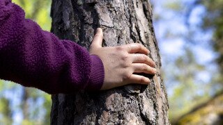 Well-being_society_2024_1920x1440-49.jpg